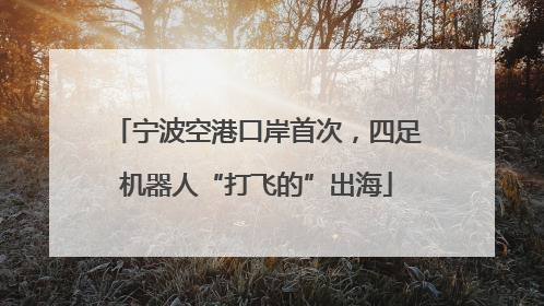 宁波空港口岸首次，四足机器人“打飞的”出海