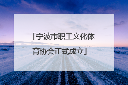 宁波市职工文化体育协会正式成立
