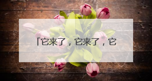 它来了，它来了，它从催更声中走来了