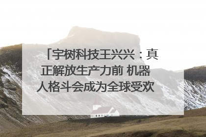宇树科技王兴兴：真正解放生产力前 机器人格斗会成为全球受欢迎的赛事｜科技观察