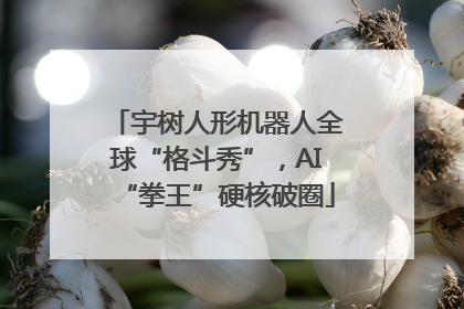 宇树人形机器人全球“格斗秀”，AI“拳王”硬核破圈