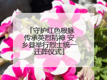 守护红色根脉 传承英烈精神 安乡县举行烈士统一迁葬仪式