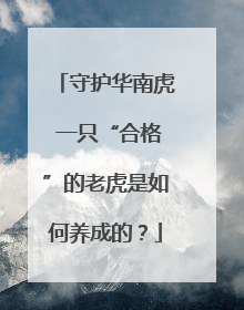 守护华南虎 一只“合格”的老虎是如何养成的？