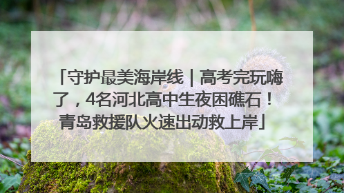 守护最美海岸线｜高考完玩嗨了，4名河北高中生夜困礁石！青岛救援队火速出动救上岸