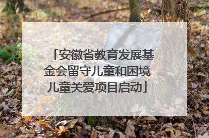 安徽省教育发展基金会留守儿童和困境儿童关爱项目启动