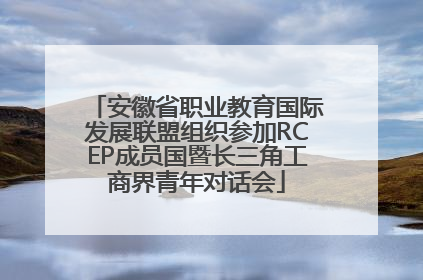 安徽省职业教育国际发展联盟组织参加RCEP成员国暨长三角工商界青年对话会