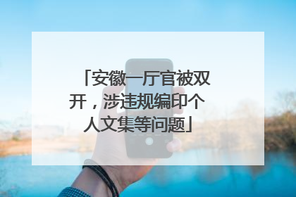 安徽一厅官被双开，涉违规编印个人文集等问题