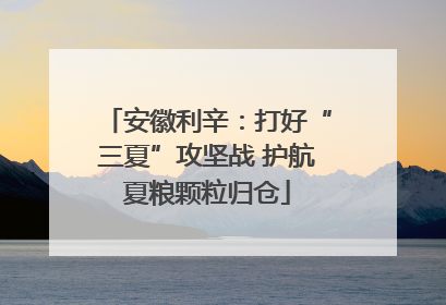 安徽利辛：打好“三夏”攻坚战 护航夏粮颗粒归仓
