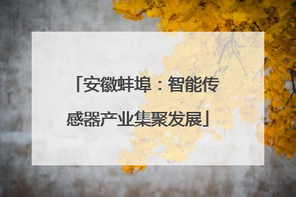 安徽蚌埠：智能传感器产业集聚发展