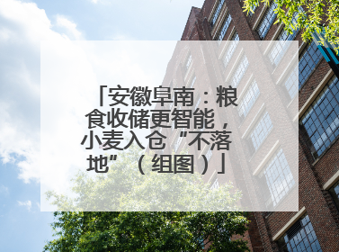 安徽阜南：粮食收储更智能，小麦入仓“不落地”（组图）