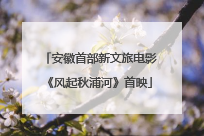 安徽首部新文旅电影《风起秋浦河》首映