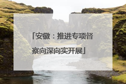 安徽：推进专项督察向深向实开展