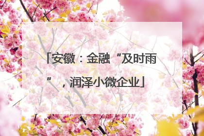 安徽：金融“及时雨”，润泽小微企业