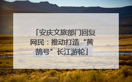 安庆文旅部门回复网民：推动打造“黄鹄号”长江游轮