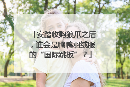 安踏收购狼爪之后，谁会是鸭鸭羽绒服的“国际跳板”？