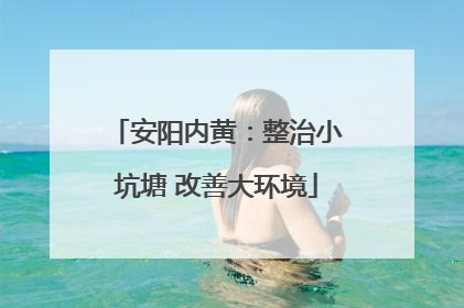 安阳内黄：整治小坑塘 改善大环境
