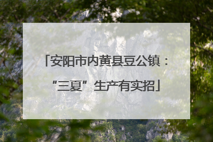 安阳市内黄县豆公镇：“三夏”生产有实招