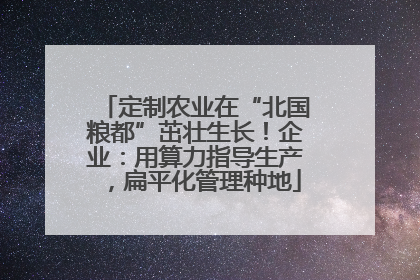 定制农业在“北国粮都”茁壮生长！企业：用算力指导生产，扁平化管理种地