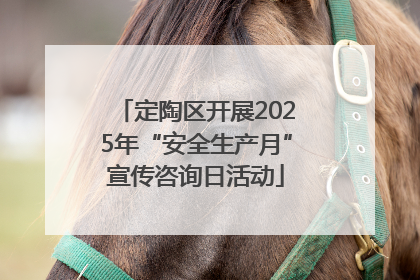 定陶区开展2025年“安全生产月”宣传咨询日活动