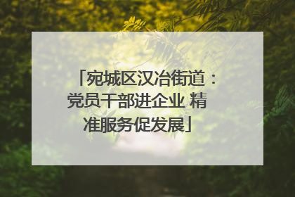 宛城区汉冶街道：党员干部进企业 精准服务促发展