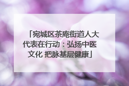 宛城区茶庵街道人大代表在行动：弘扬中医文化 把脉基层健康