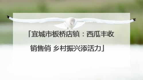 宜城市板桥店镇：西瓜丰收销售俏 乡村振兴添活力