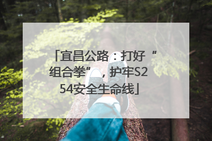 宜昌公路：打好“组合拳”，护牢S254安全生命线