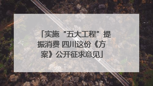 实施“五大工程”提振消费 四川这份《方案》公开征求意见