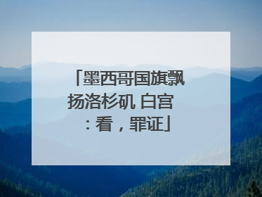 墨西哥国旗飘扬洛杉矶 白宫：看，罪证