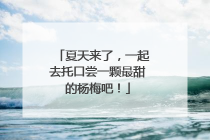 夏天来了，一起去托口尝一颗最甜的杨梅吧！