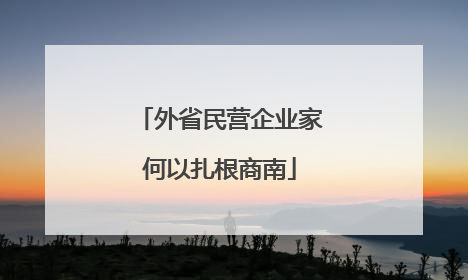 外省民营企业家何以扎根商南