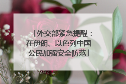 外交部紧急提醒：在伊朗、以色列中国公民加强安全防范