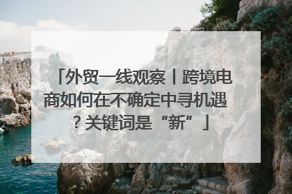外贸一线观察丨跨境电商如何在不确定中寻机遇？关键词是“新”