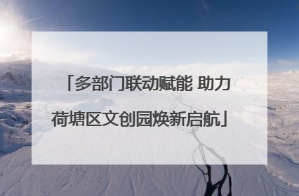 多部门联动赋能 助力荷塘区文创园焕新启航