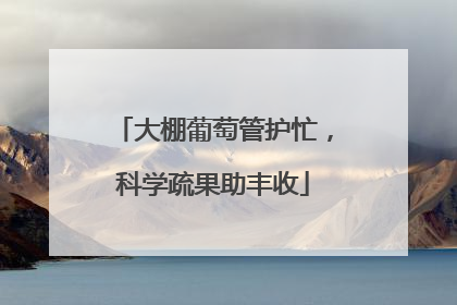 大棚葡萄管护忙，科学疏果助丰收