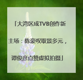 大湾区成TVB创作新主场：陈豪叹取景多元，谭俊彦点赞虚拟拍摄