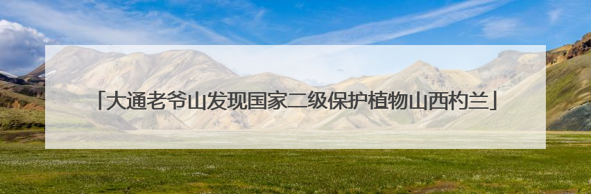 大通老爷山发现国家二级保护植物山西杓兰