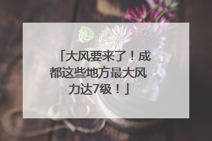 大风要来了！成都这些地方最大风力达7级！