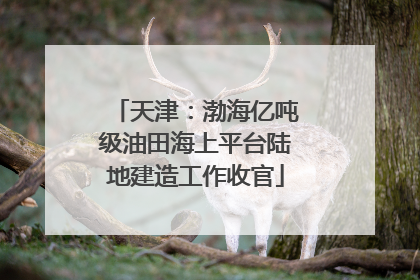 天津：渤海亿吨级油田海上平台陆地建造工作收官