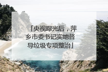 央视曝光后，萍乡市委书记实地督导垃圾专项整治