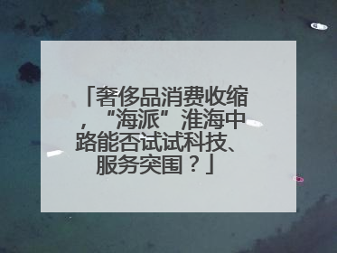 奢侈品消费收缩，“海派”淮海中路能否试试科技、服务突围？