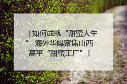 如何成就“甜蜜人生” 海外华媒聚焦山西高平“甜蜜工厂”