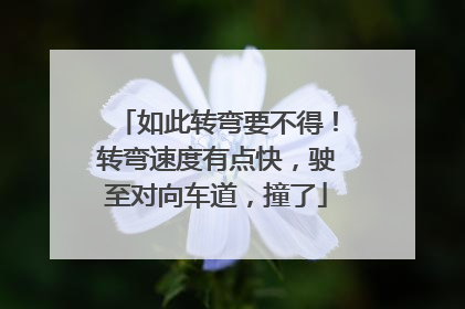 如此转弯要不得！转弯速度有点快，驶至对向车道，撞了