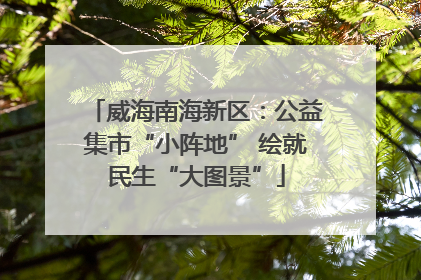 威海南海新区：公益集市“小阵地” 绘就民生“大图景”