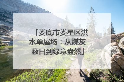 娄底市娄星区洪水单屋场：从煤灰蔽日到绿意盎然