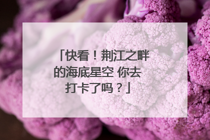 快看！荆江之畔的海底星空 你去打卡了吗？