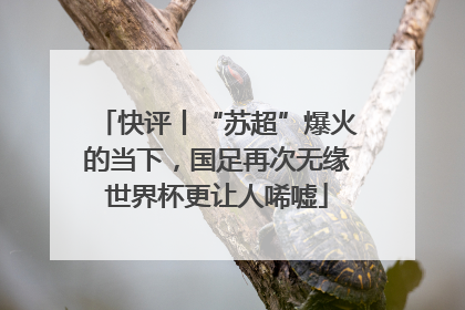 快评丨“苏超”爆火的当下，国足再次无缘世界杯更让人唏嘘