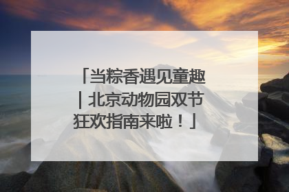 当粽香遇见童趣｜北京动物园双节狂欢指南来啦！