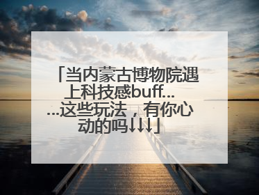 当内蒙古博物院遇上科技感buff……这些玩法，有你心动的吗↓↓↓