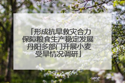 形成抗旱救灾合力 保障粮食生产稳定发展 丹阳多部门开展小麦受旱情况调研